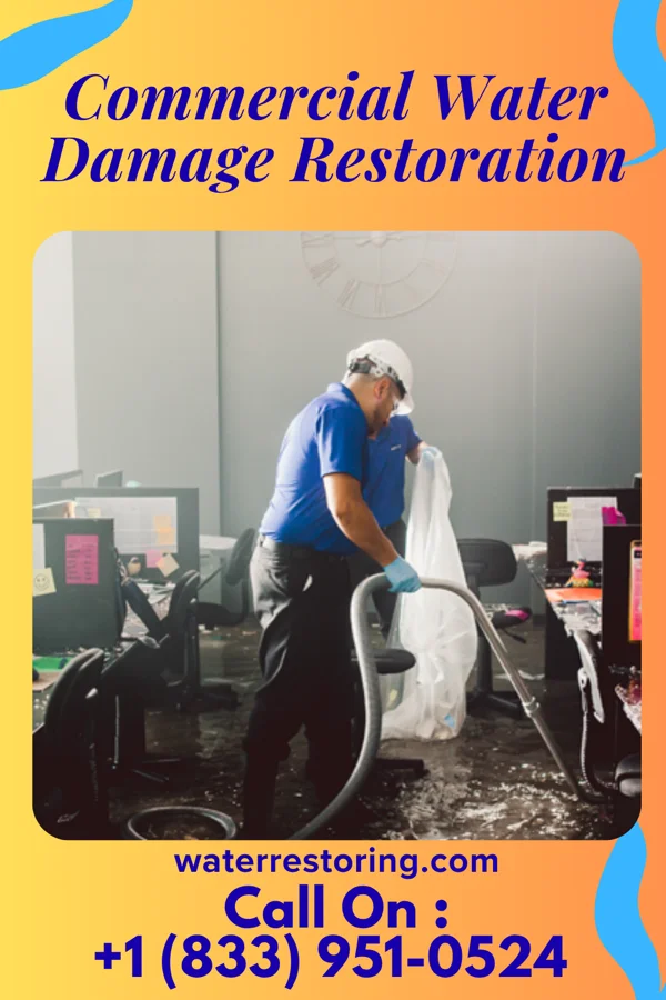 Commercial Water Damage Restoration in Nassau, MN