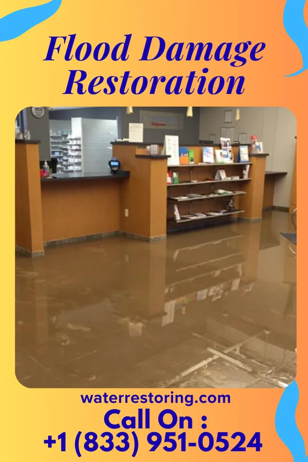 Flood Damage Restoration in Nassau, MN