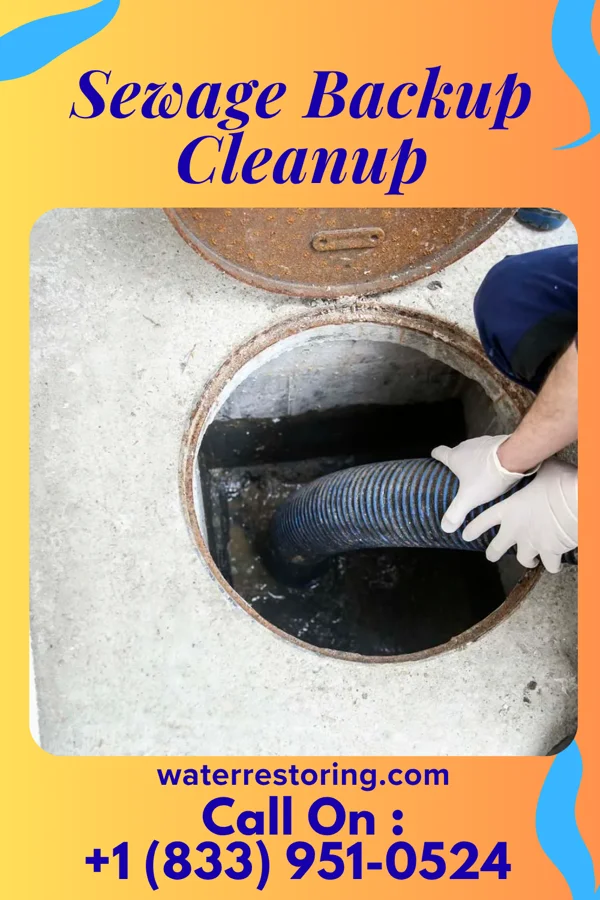 Sewage Backup Cleanup in Nassau, MN