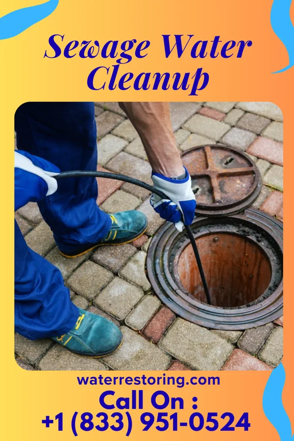 Sewage Water Cleanup in Nassau, MN