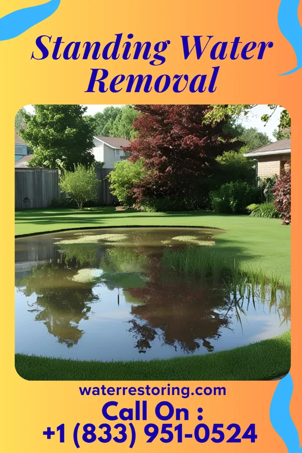 Standing Water Removal in Nassau, MN